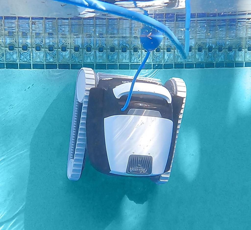Dolphin Explorer E20